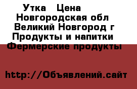 Утка › Цена ­ 400 - Новгородская обл., Великий Новгород г. Продукты и напитки » Фермерские продукты   